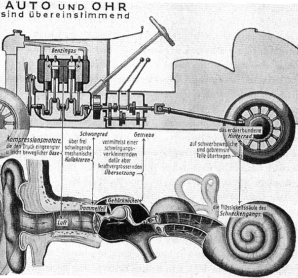 autoohr1.jpg